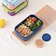 plastic bento lunch box